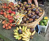 ウブドの道端に売っていた果物