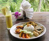 緑の風に吹かれながら・・・・・