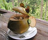 ヤシの実がこんなに可愛くなって・・・・さぁお飲み下さい！