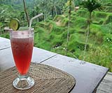 緑の風に吹かれながら飲むのは・・・ジュース・スマンカ（スイカジュース）