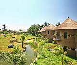 バリサファリの中の様子