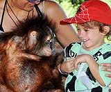 動物と一緒に写真をどうぞ！