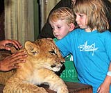 タイガーパッケージは動物との写真が1枚撮れます