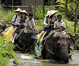 楽しいエレファントライド