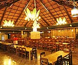 ウマレストランの中