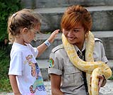 ちょっと怖いけれど大人しいヘビです