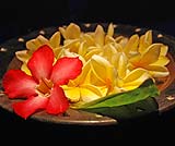 スパのイメージ・・・花の香り