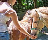 餌をあげて下さいね
