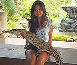 ワニと一緒に写真はいかがですか？