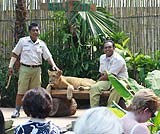 動物のショータイム