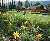 湖畔には綺麗な芝生に、色んな花が咲いています