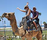 童心に戻って楽しめるキャメルライド