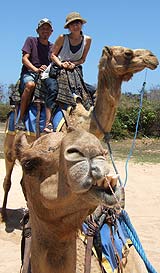 とっても楽しそうですね！