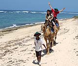 カメラを向けると手を振ってくれました