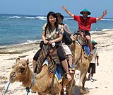 皆とっても楽しそうにラクダに乗っています