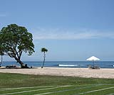 周りはこんな景色です