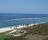 キャメルライド