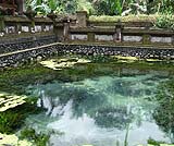 ティルタウンプルの聖なる泉