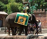 象さんたちのショー