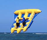 フライフィッシュ