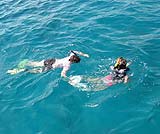 バリハイ・リーフ・クルーズ