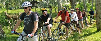 新しい発見が見つかるはず！