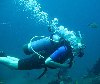 海の中を魚になって泳いで下さいね～