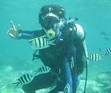 体験ダイビング