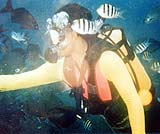 ファンダイビング