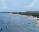 ドルフィンウォッチング