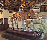 タロ村エレファントサファリ～博物館