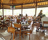 タロ村エレファントサファリ～レストランの様子