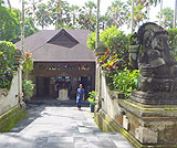 タロ村エレファントサファリ