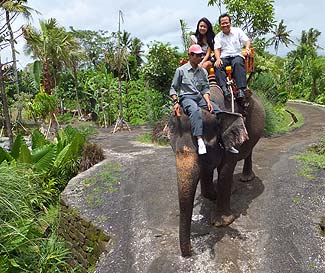 象さんと一緒にお散歩