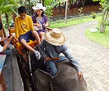 気をつけて乗って下さいね！