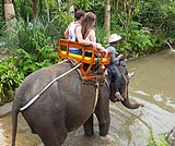 オットット！ちょっと気をつけて！