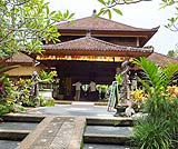 この向こうで象さんに乗れます