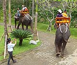 さぁ象さんと一緒のお散歩に出発です！