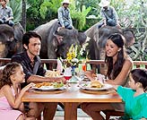 ランチタイムは象さんを見ながら・・・・・