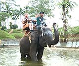 象さんと一緒に水の中