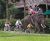 皆で仲良く・・・