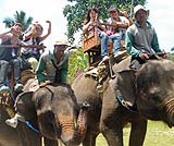 仲間で楽しくエレファントライド(30分間です)