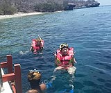 マンタに会えるシュノーケリング