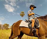 ホースライディング（乗馬）