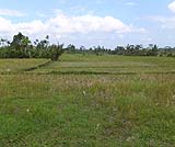 周りに広がる田園風景