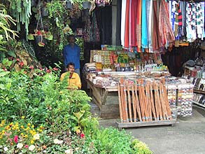 パサールクニン