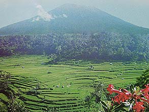 マハギリのライステラス