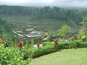 マハギリのライステラス