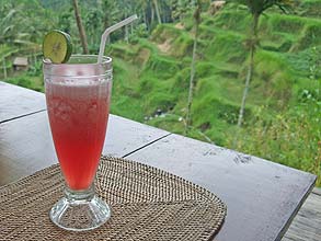 緑の風の中で飲むジュース