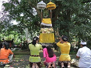 祈りを捧げるバリの人たち